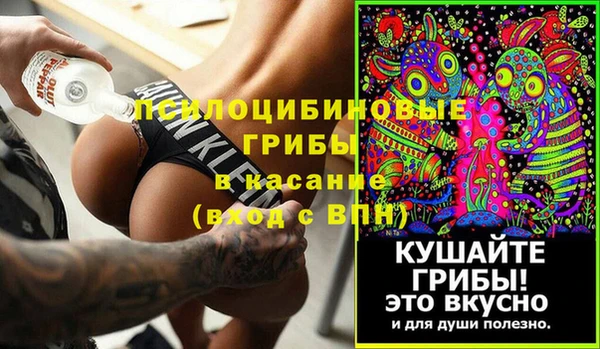 мет Анива