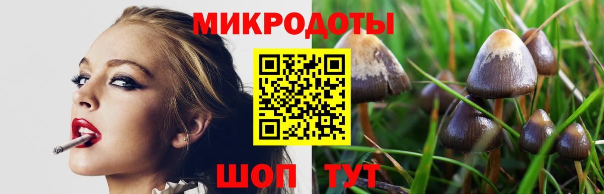 Биробиджан  Галлюциногенные грибы Cubensis  Вход с VPN 